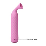 imports Stimulateur de clitoris Quentin Pretty Love Rose Quentin est un stimulateur rechargeable via un câble USB qui vous est f