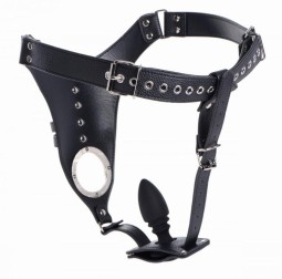 Chastity belt with plug...