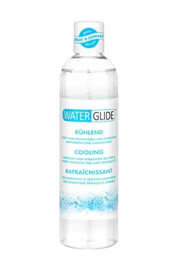 imports Lubrifiant Waterglide Rafraichissant - 300 ml Composition du lubrifiant:Aqua, Glycerin, Hydroxyethylcellulose, Phenoxyet