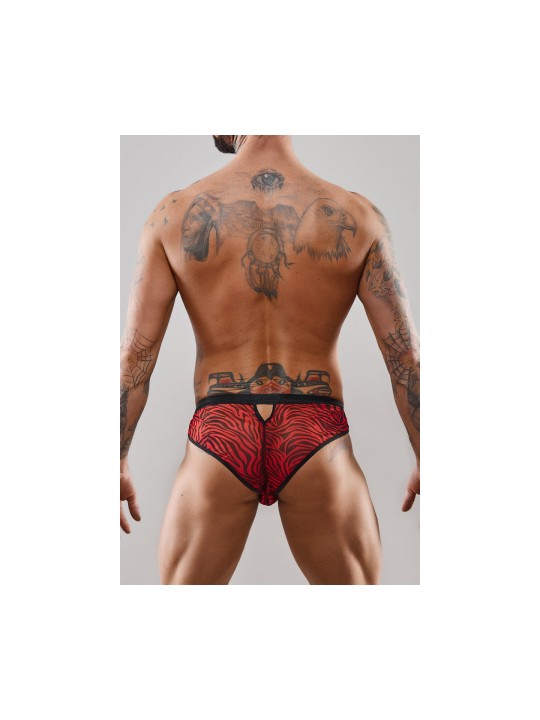 Sexy briefs   47,74 €